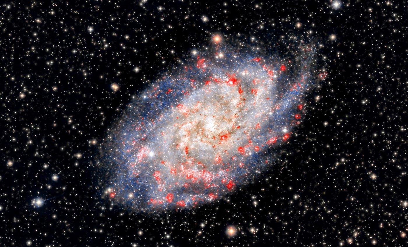 Messier 33: The unusual galaxy without a central black hole