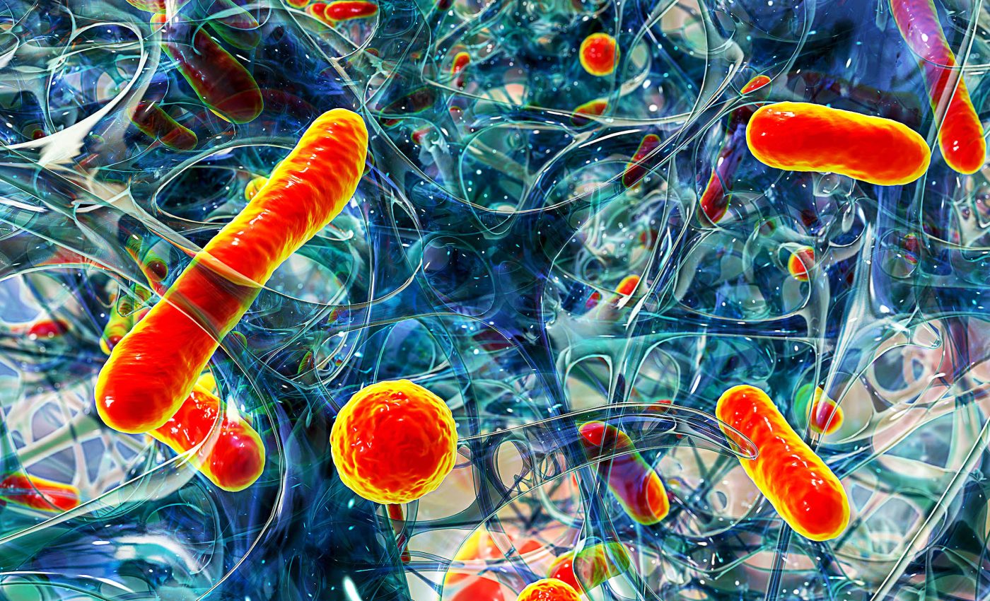 Arctic Sea microbes show promise as new antibiotic drugs