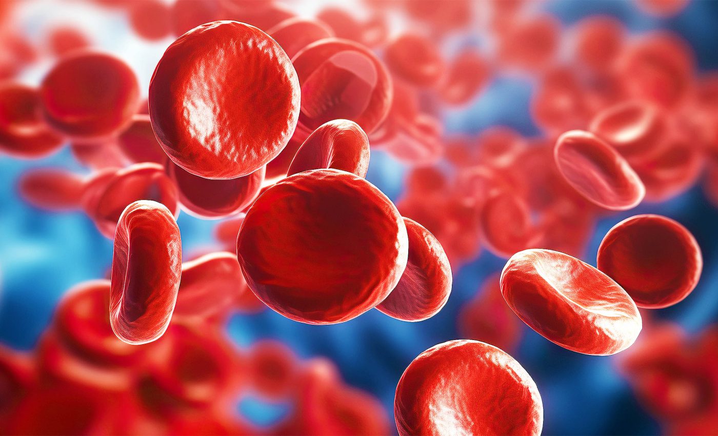 Blood stem cells grown in the lab for the first time ever