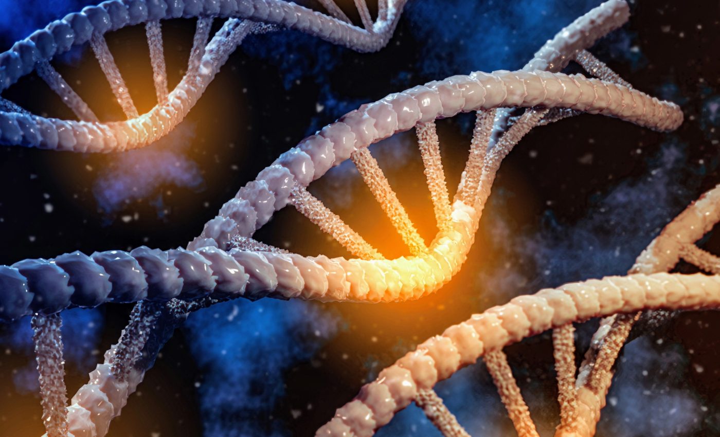 Did the building blocks of life replicate on their own?