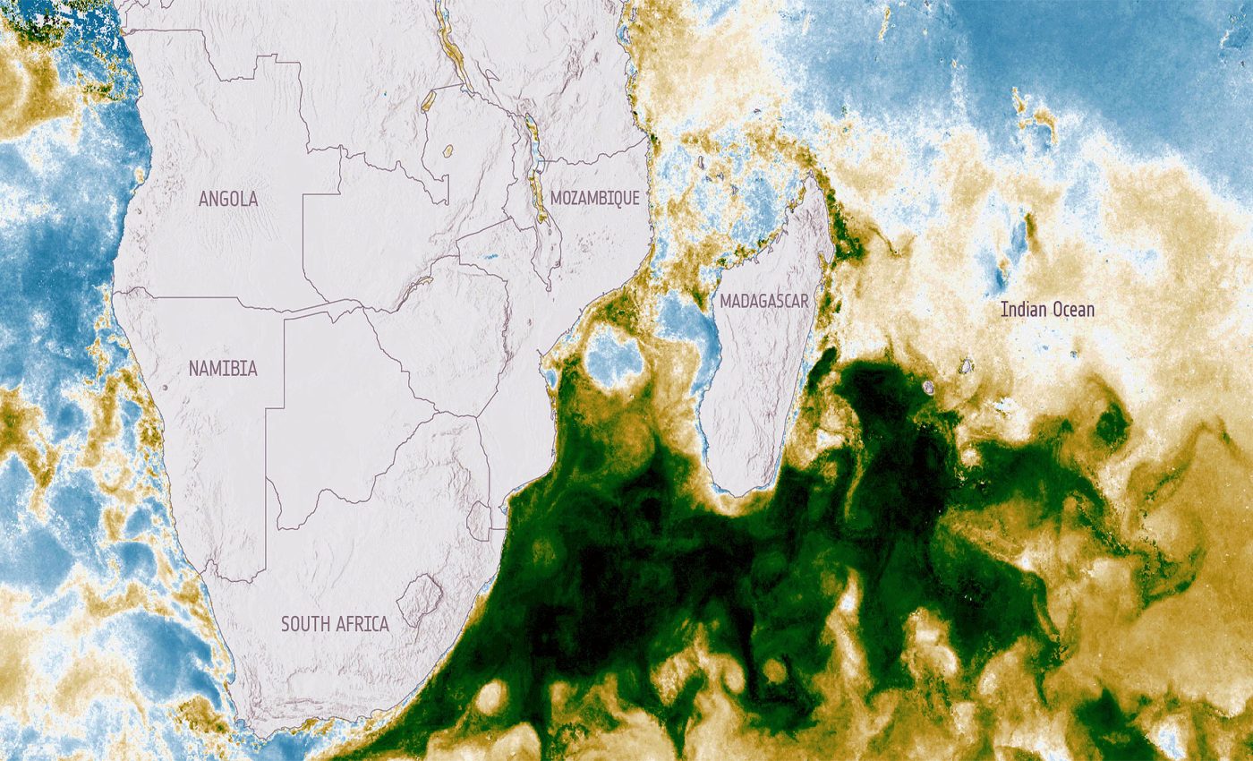Dust from Africa sparked a massive phytoplankton bloom