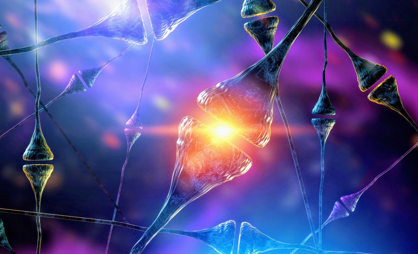 Brain receptor that controls neurons will help us understand autism