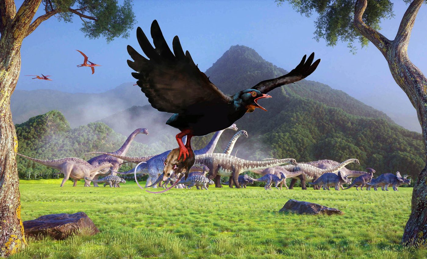 Earliest known predatory birds lived alongside dinosaurs
