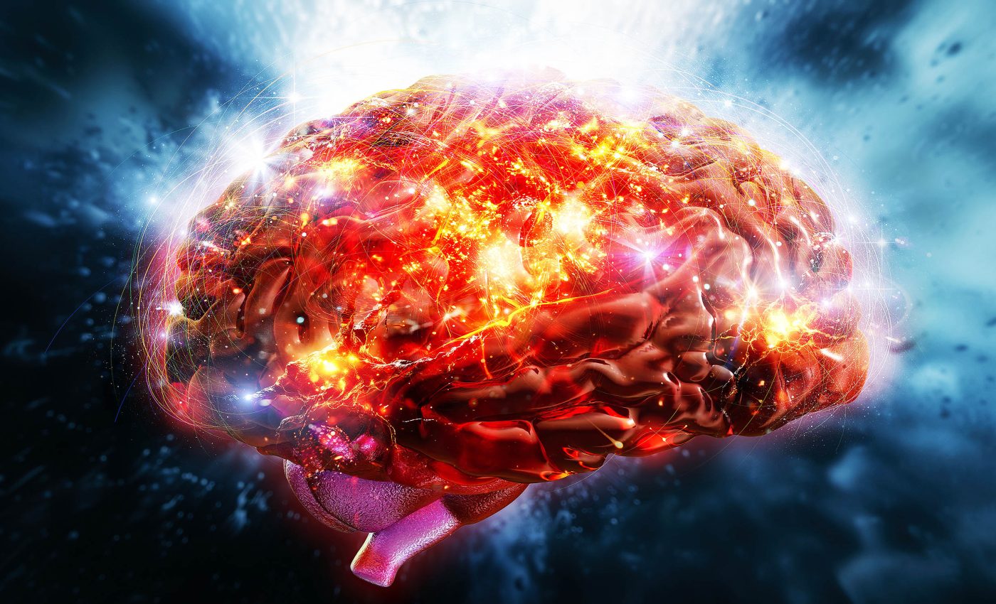 Human brains literally "change" and adapt to our sleep patterns, activities, and overall lifestyle