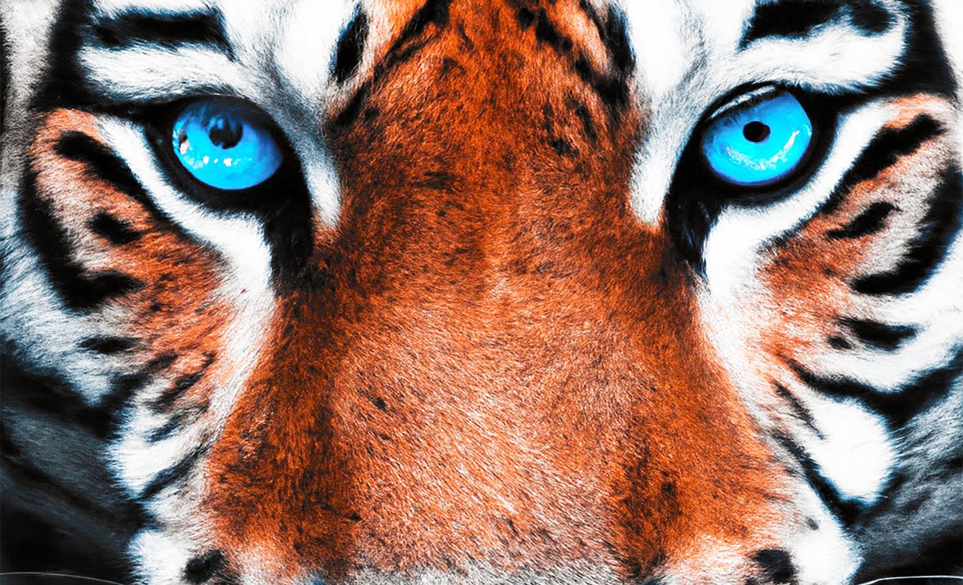 New camera lets us see the colors of the world through the eyes of animals