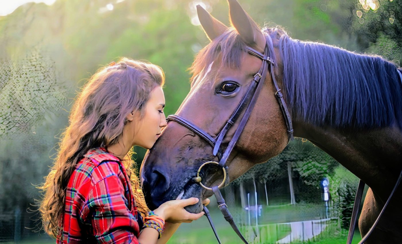 Recognizing emotions in horses can improve their health