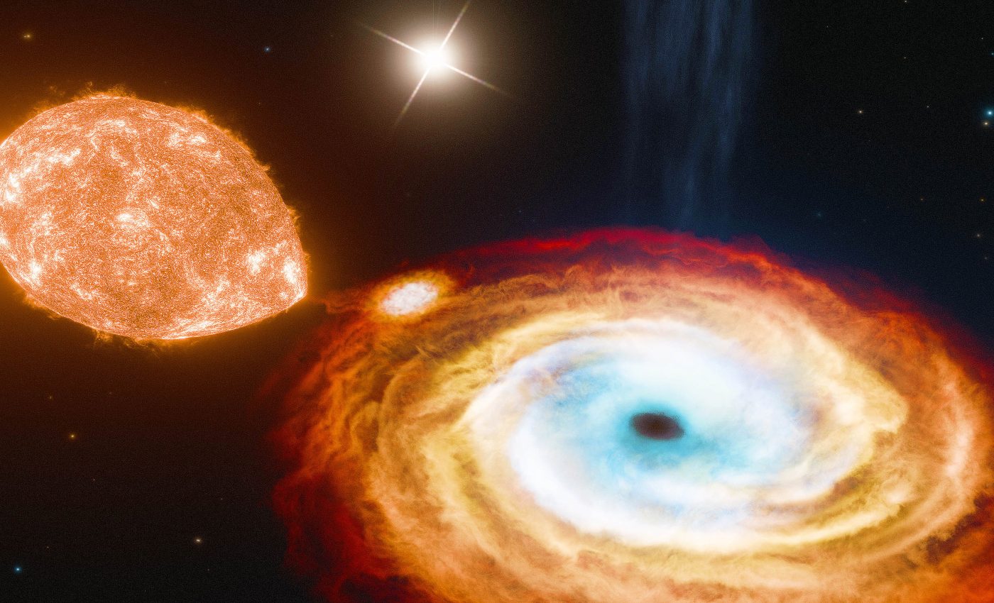 Black hole formation can be "gentle" without producing a supernova