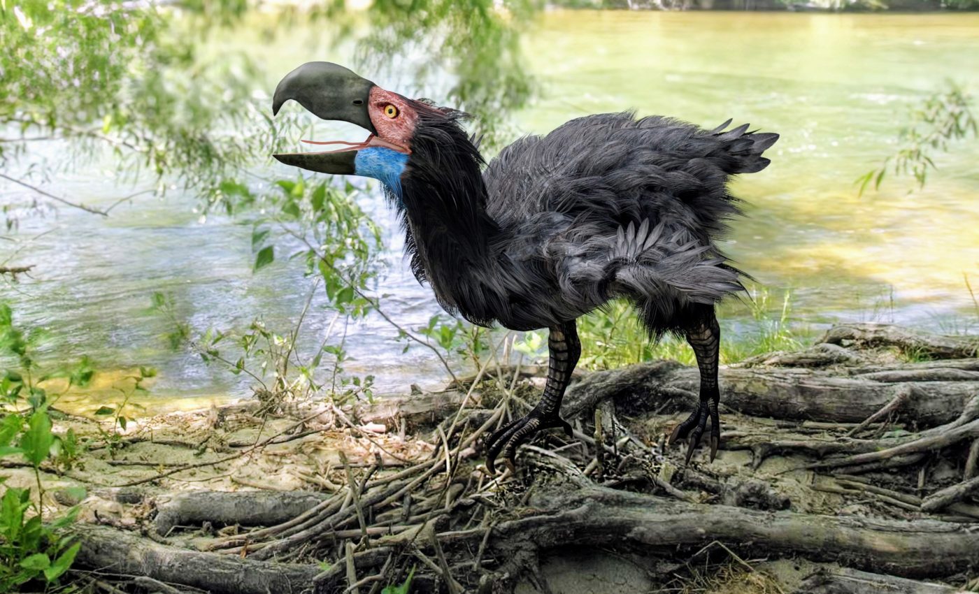 "Terror birds" ate meat and dominated the planet long ago