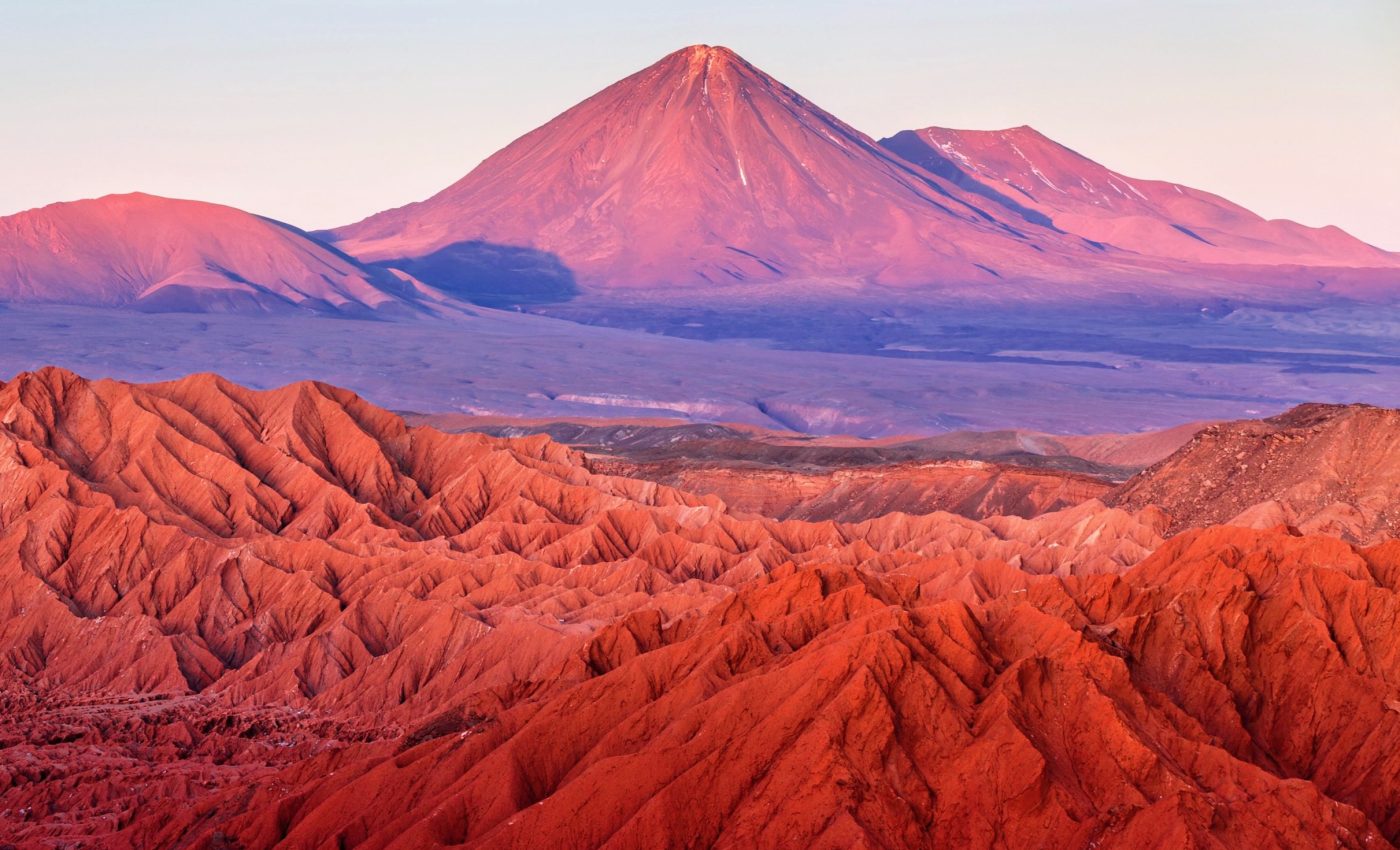 Living microbes found in the driest desert on Earth