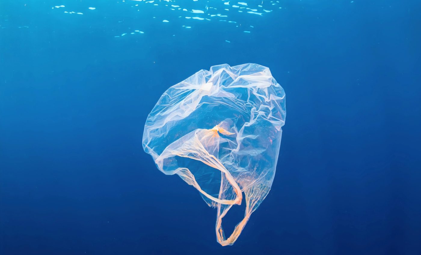 Nature-inspired solutions: New bioplastic dissolves rapidly in water