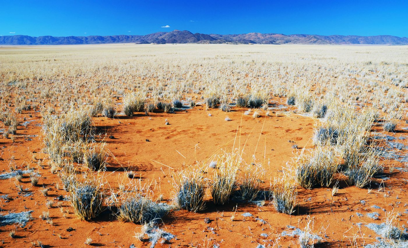 "Fairy circles" found in the desert remain a mystery to science