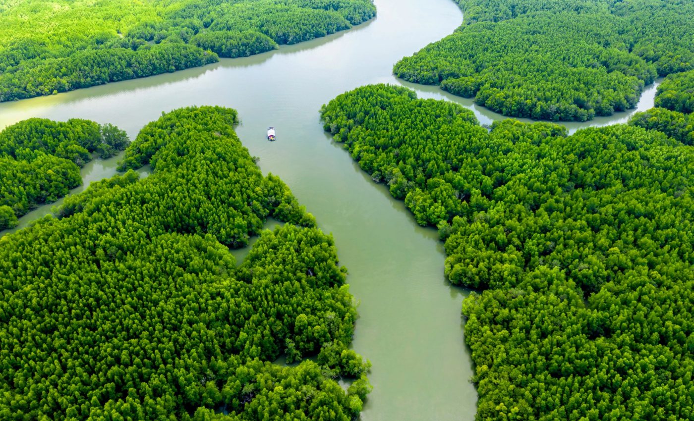 Earth’s carbon sinks are being pushed to their limits