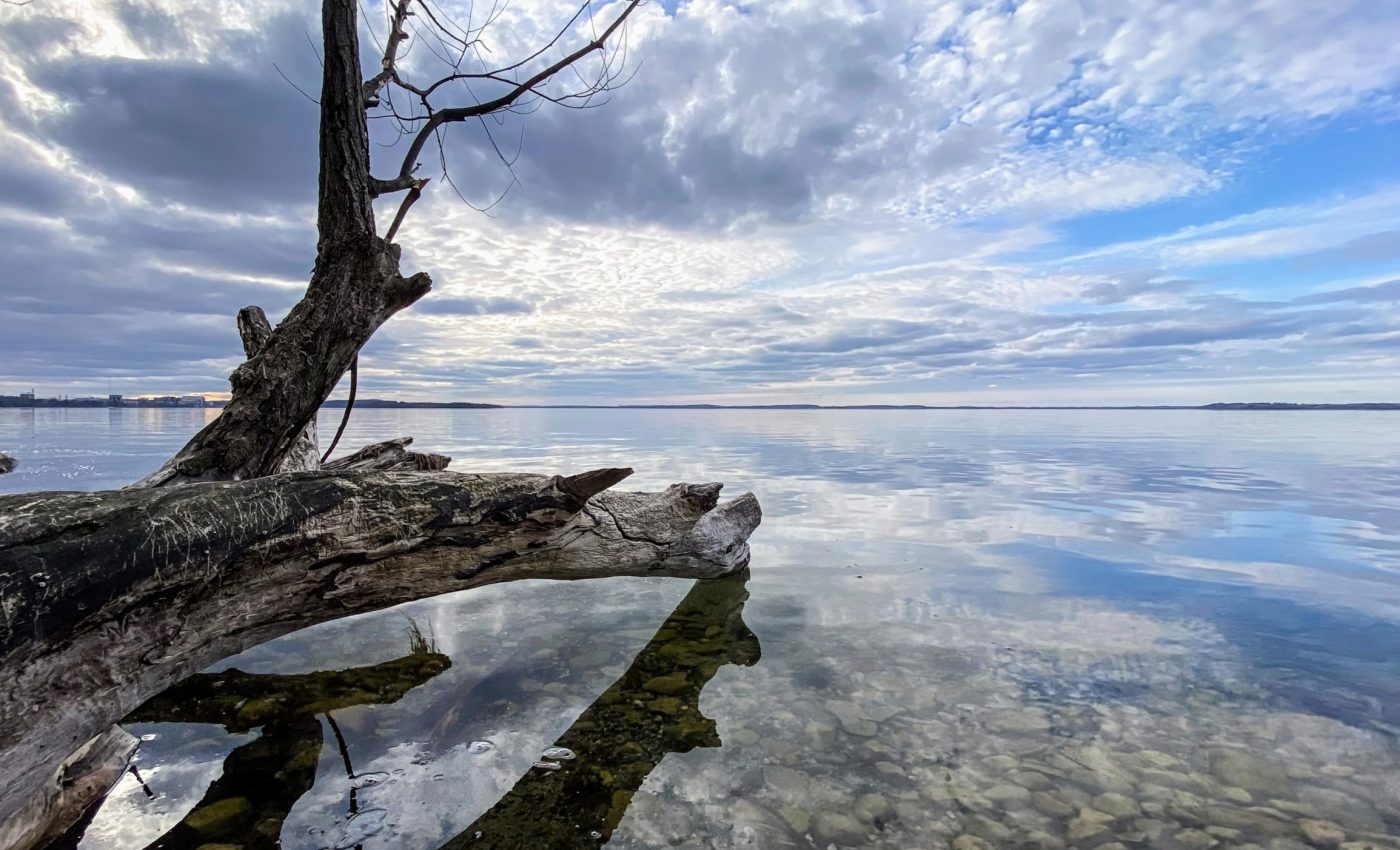 Bacteria in Lake Mendota keep evolving but never change