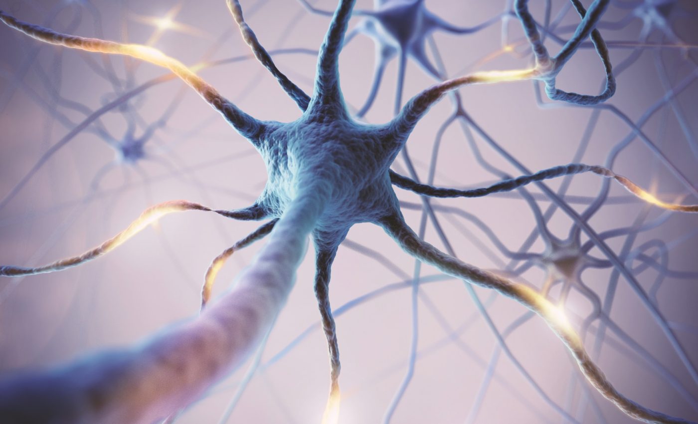 Forever chemicals alter gene expression in the brain