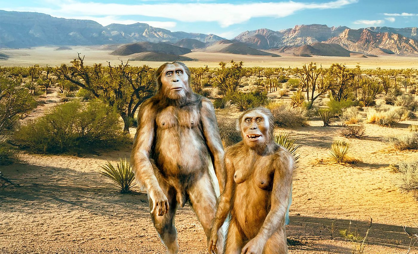 New details about Homo erectus prove that humans aren't as special as we thought