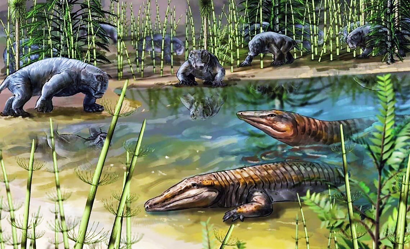 'Life oasis' provided refuge for plants during Earth's worst extinction event