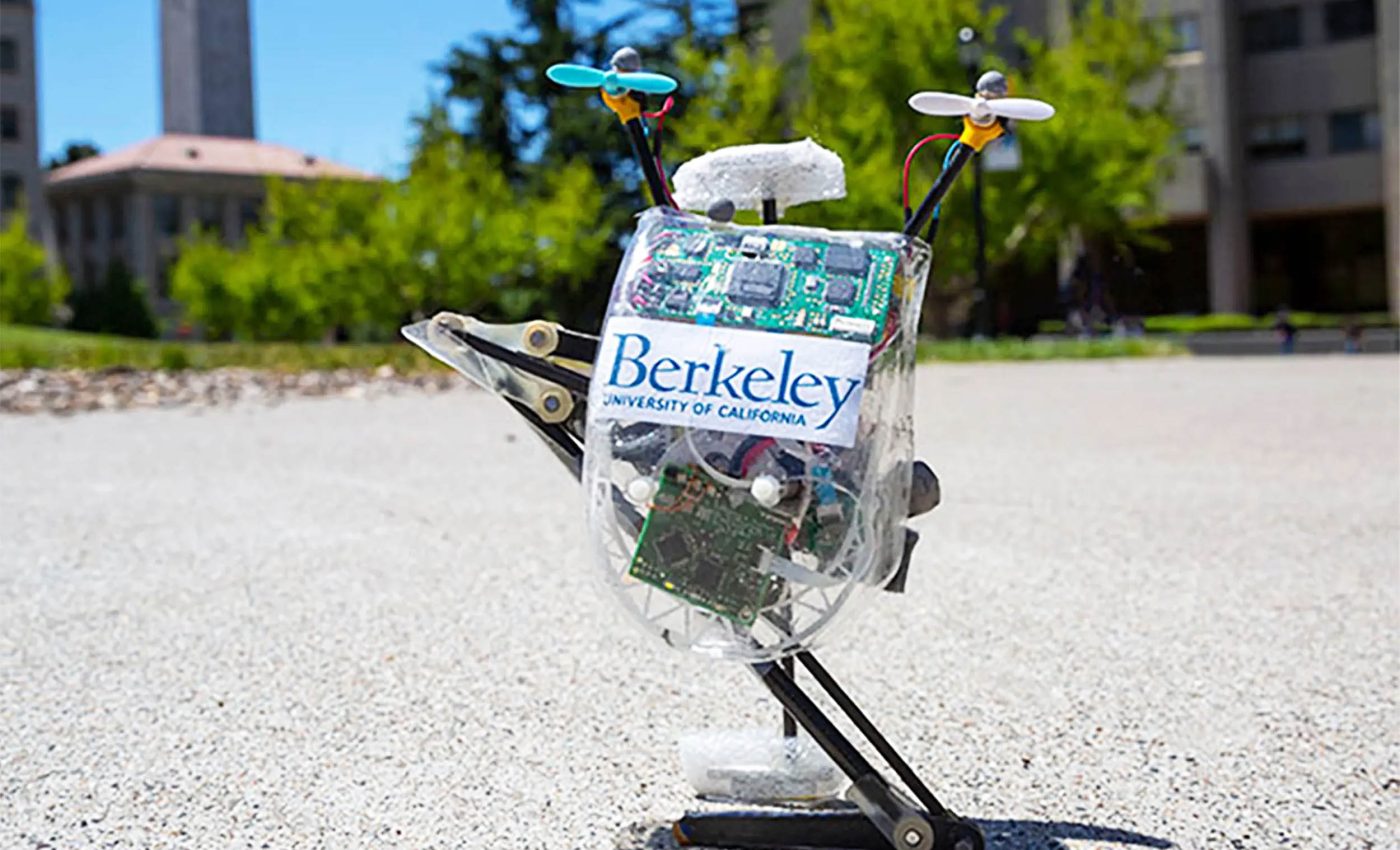 Squirrel-inspired robot masters the art of precision landing