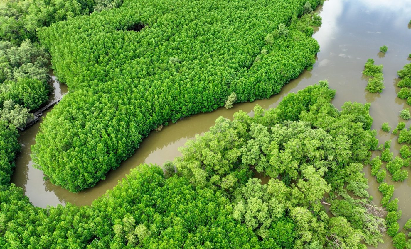 Earths natural carbon sink nearly collapsed in 2024