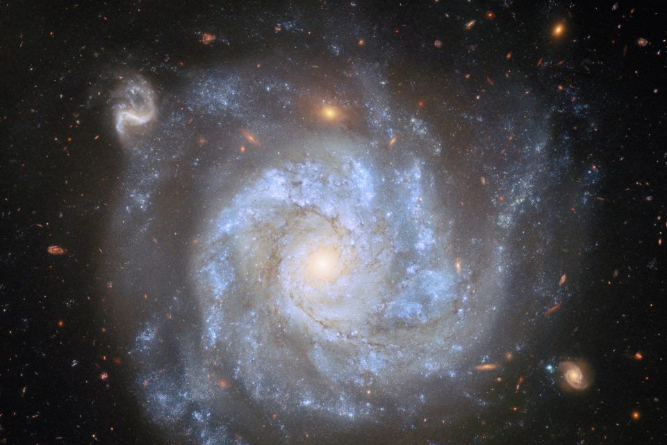 Hubble captures a star that survived its own explosion