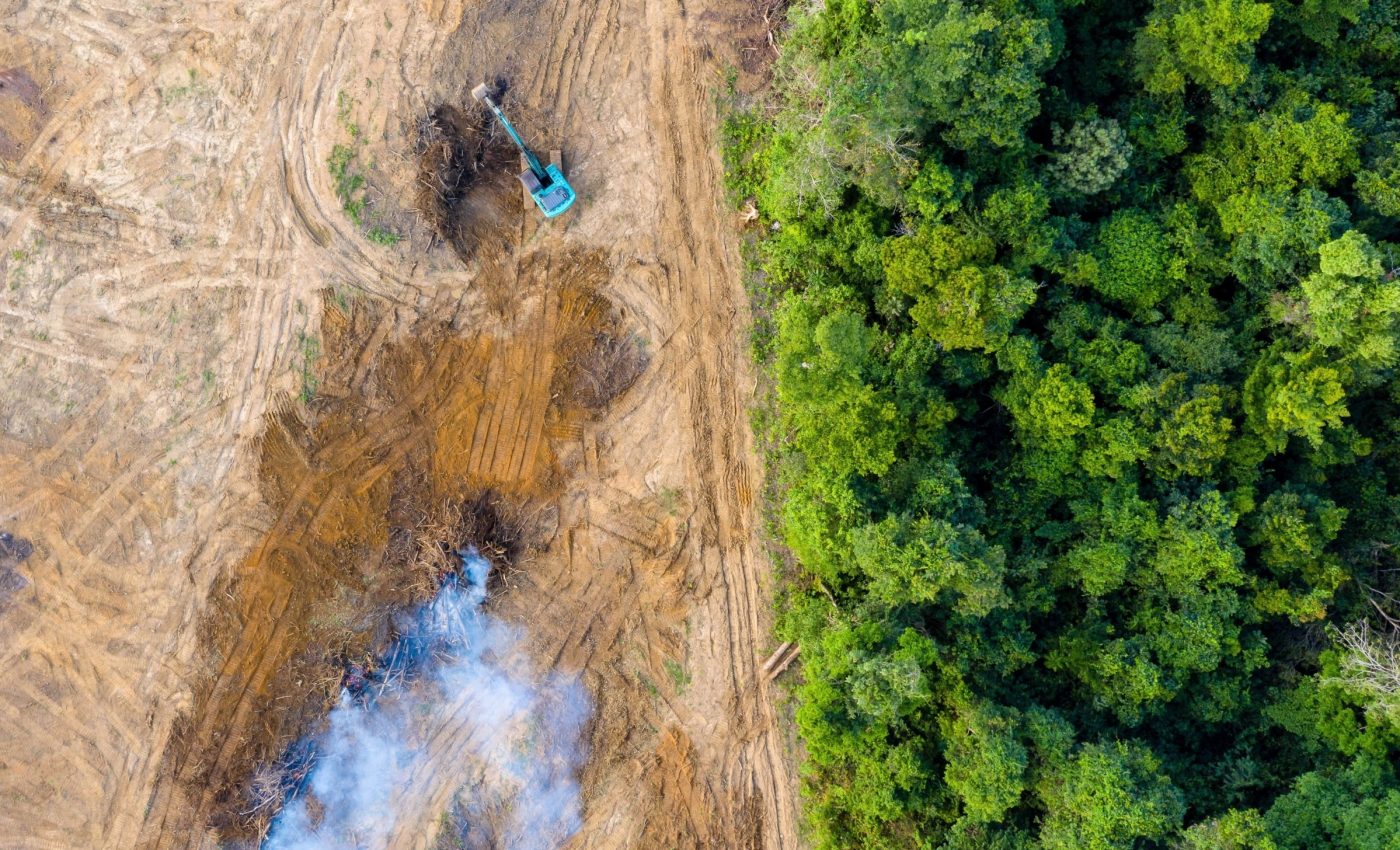 Deforestation is drying the Amazon more than climate change