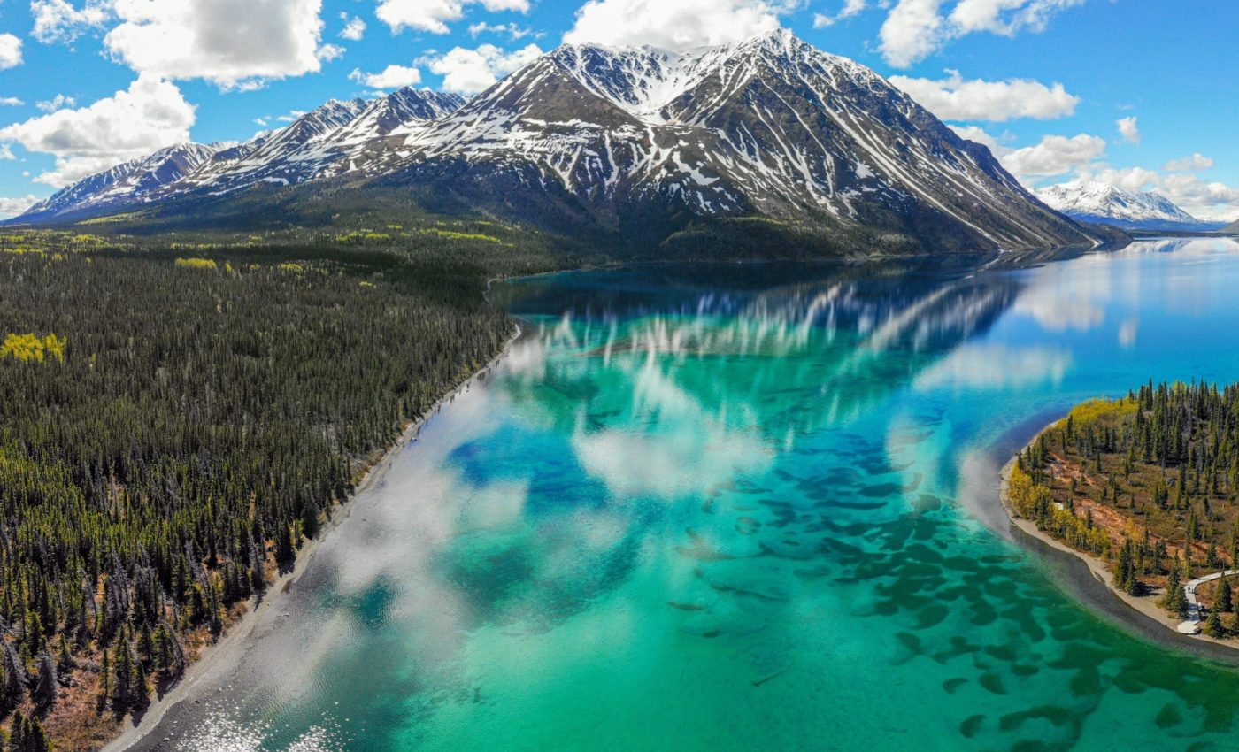 Over a third of the Arctic boreal region now releases more carbon than it stores