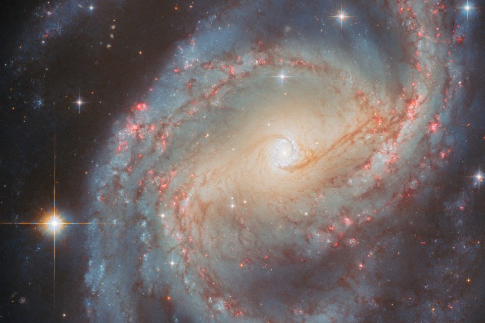 Starburst ring lights up the heart of a spiral galaxy